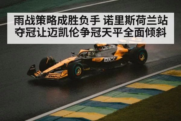 雨战策略成胜负手 诺里斯荷兰站夺冠让迈凯伦争冠天平全面倾斜